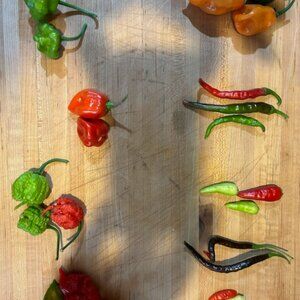 Meet your Posher, Sara